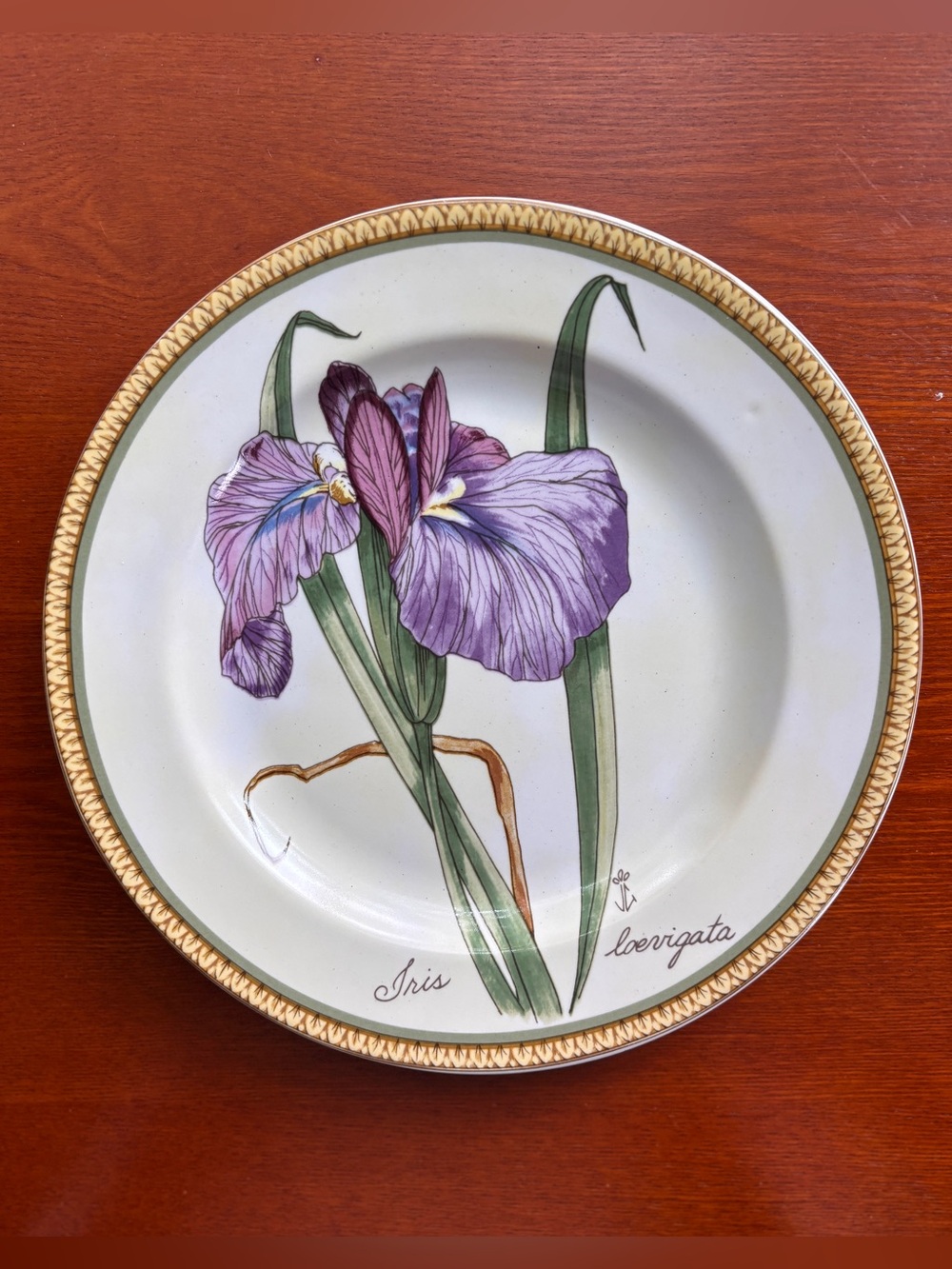 Vintage American Atelier Plate Botanical Purple Iris Floral Decorative Plate